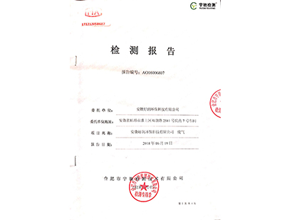 檢測報告