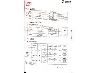 檢測報告